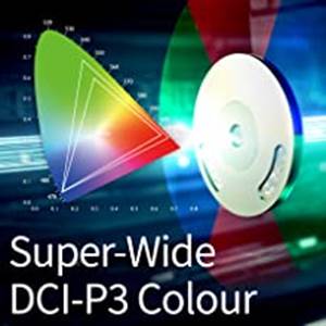 W2700�s DCI-P3 color space reproduces cinematic quality with wide  and precision color accuracy